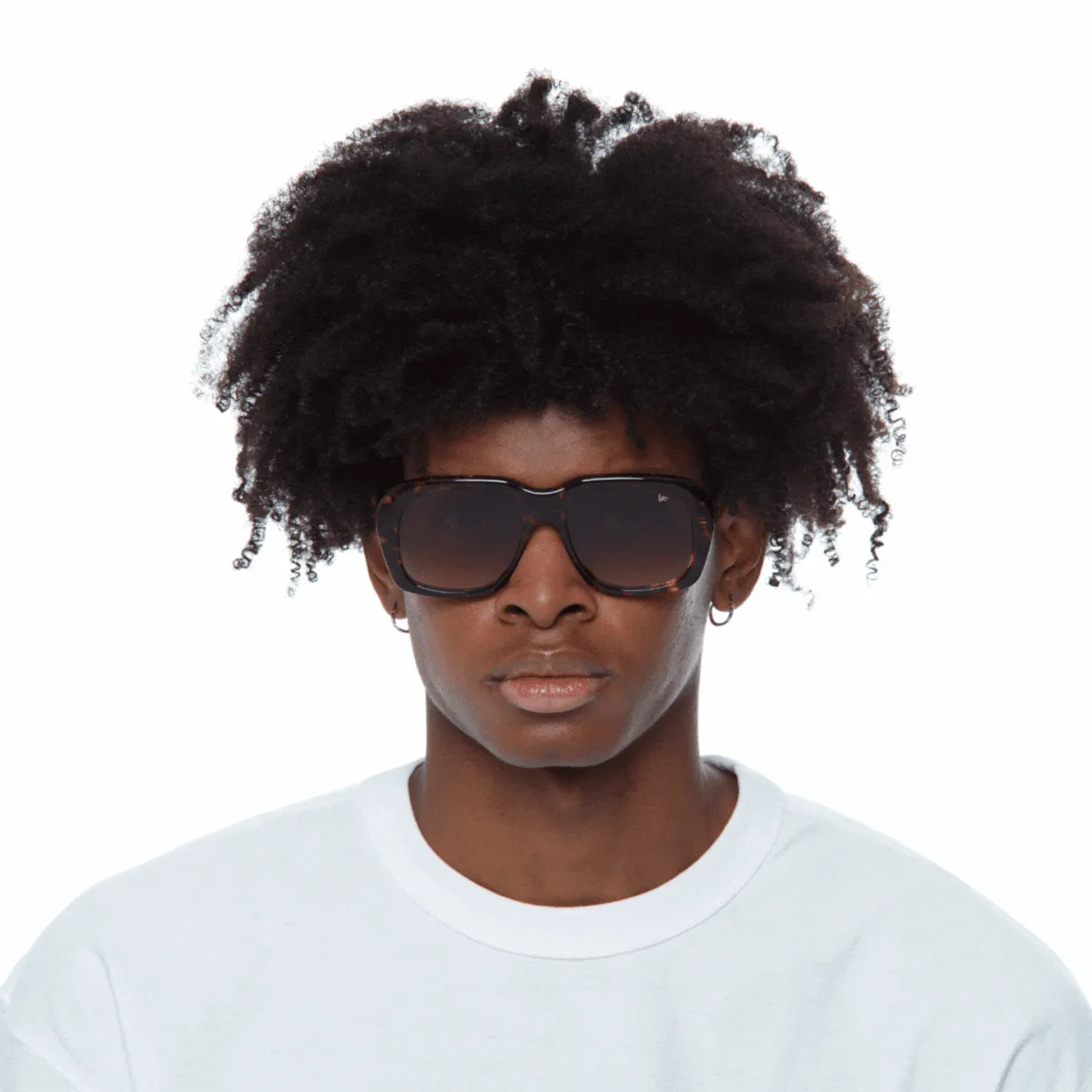 XXL Tortoise Edition Brown Acetate