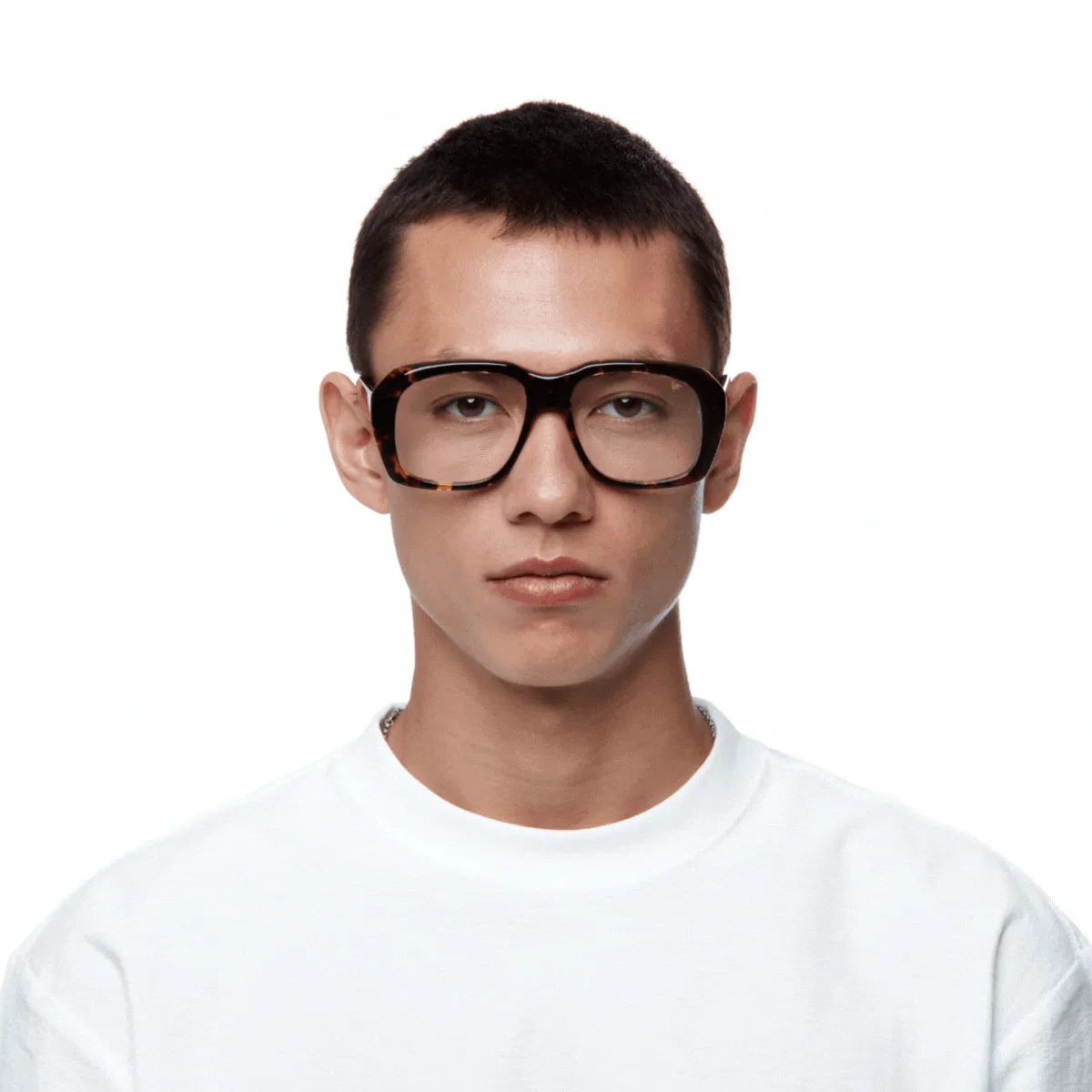 XXL Tortoise Edition Brown Acetate